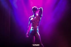 《WILD WILD》2026 性感回歸！首度前進台中 北中南11場狂野...