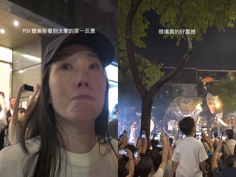 士林《大象來了》擠爆 她朝聖爆哭拍下震撼畫面